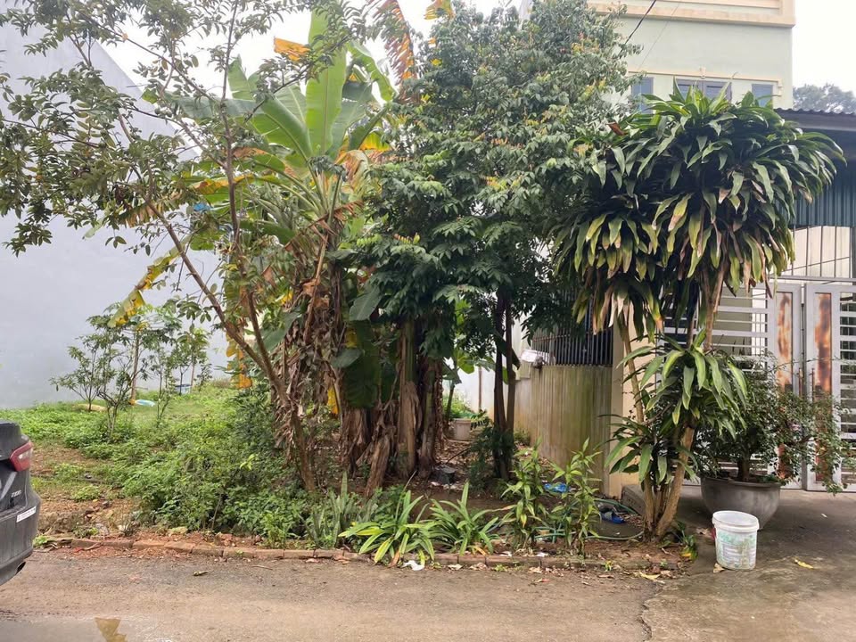 Đất Vành Đai Quân Khu 2 Khu 1A - Vân Phú 110m² giá 2.2 tỷ - Gần ủy ban phường và trạm y tế!