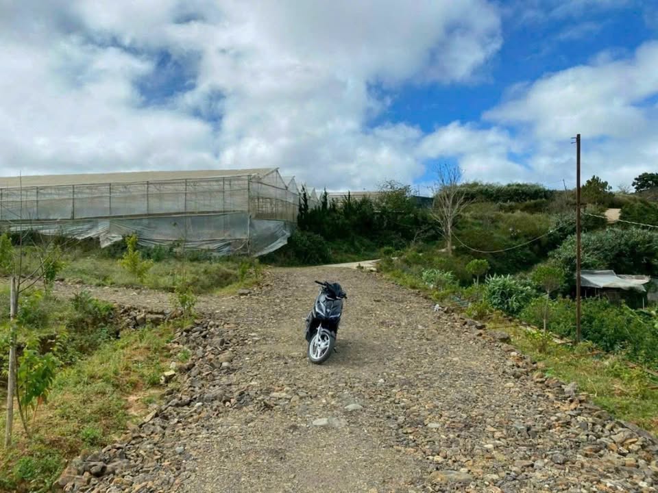 Đất nông nghiệp 600m² Đà Lạt giá 2.4 tỷ - View thung lũng tuyệt đẹp!