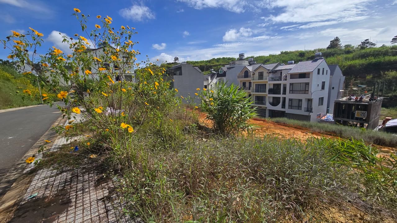 Đất KDC số 5 An Sơn, Đà Lạt 50m² giá 4.6 tỷ - Cơ hội đầu tư hấp dẫn!