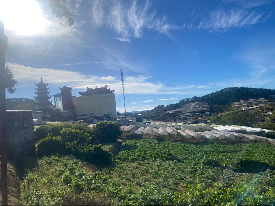 Homestay Nhà của Mon Mít Đà Lạt 4 phòng - Kinh doanh ngay tại trung tâm Trại Mát!