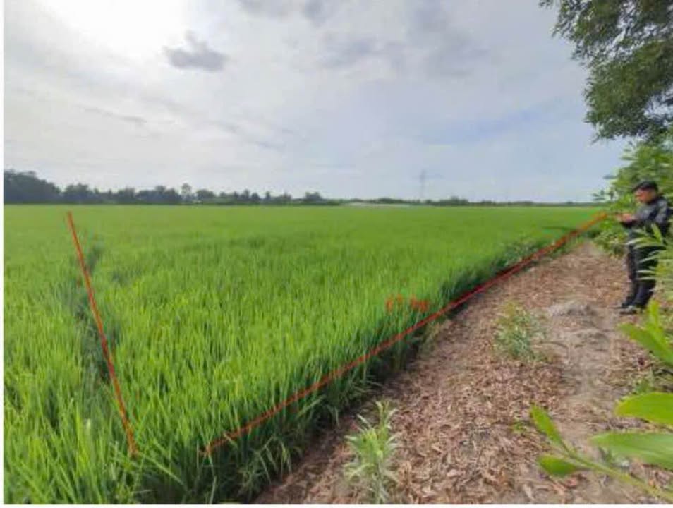 Đất Vĩnh Thông, Rạch Giá 16.405m² giá 2.789 tỷ - Cơ hội đầu tư sinh lời!