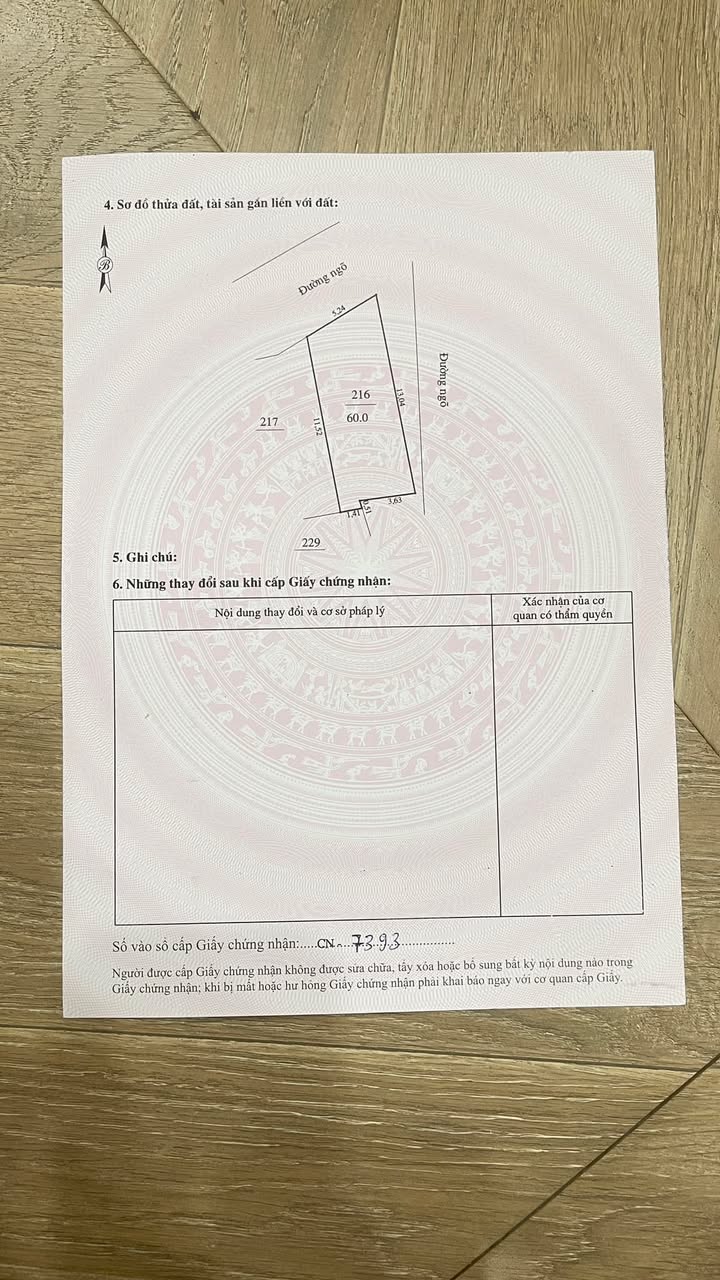 Đất nền phường Lương Văn Tri 60m² giá 600 triệu - Chính chủ bán gấp!