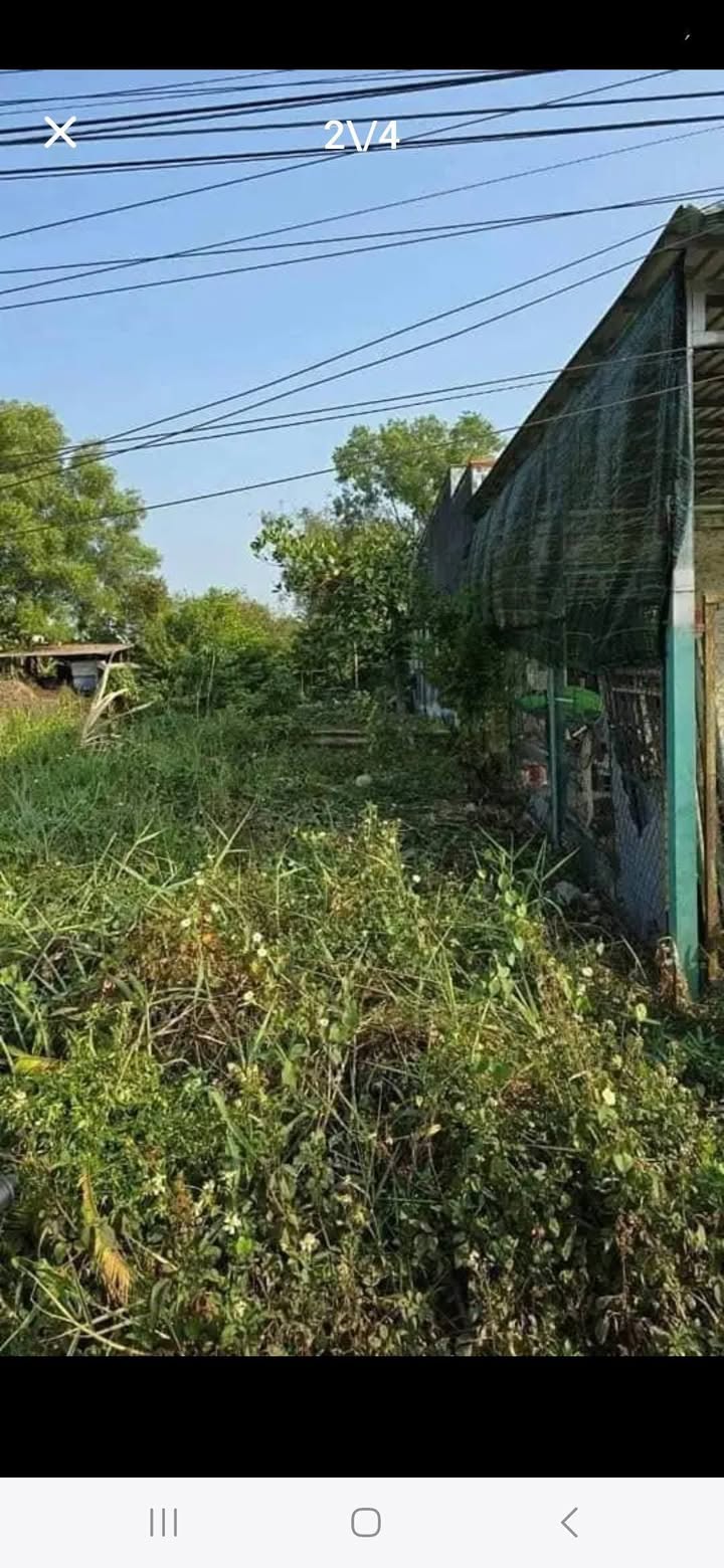 Đất nền Cần Đước 228m² giá 2.05 tỷ - Mặt tiền đường liên xã Phước Vân