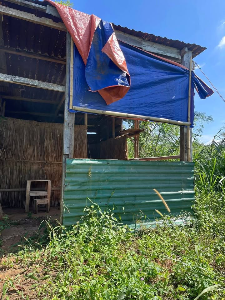 Rẫy cà phê 8 sào tại Ea Khal giá 1.549 tỷ - Nguồn thu ổn định!