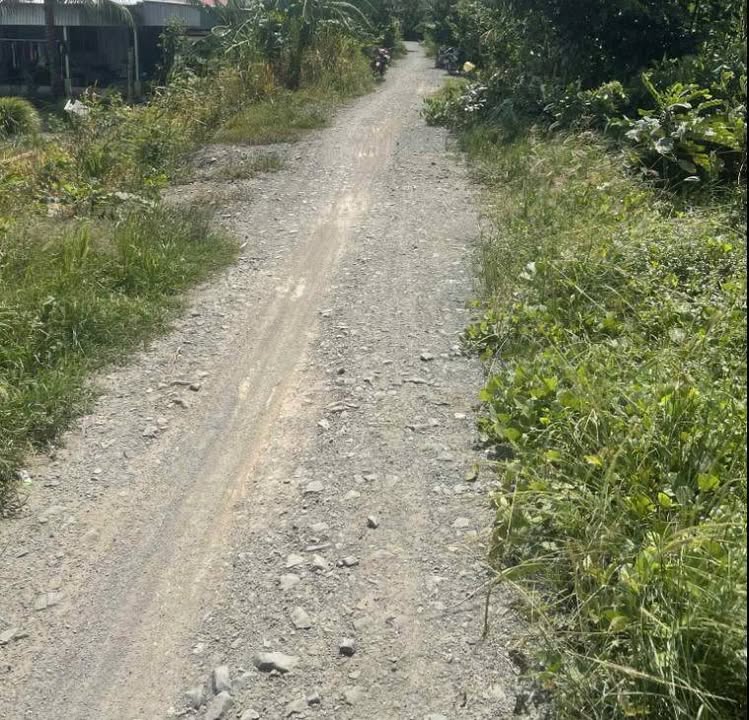 Đất nền Tân Hưng Cái Bè 126m² giá chỉ 300 triệu - Cơ hội đầu tư hấp dẫn!