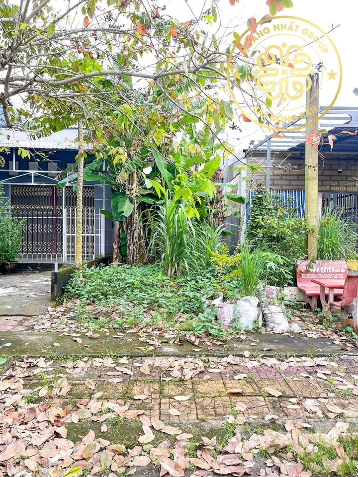 Đất nền KDC Tân Xuyên Cà Mau 135m² giá 900 triệu - Đầu tư sinh lời nhanh!