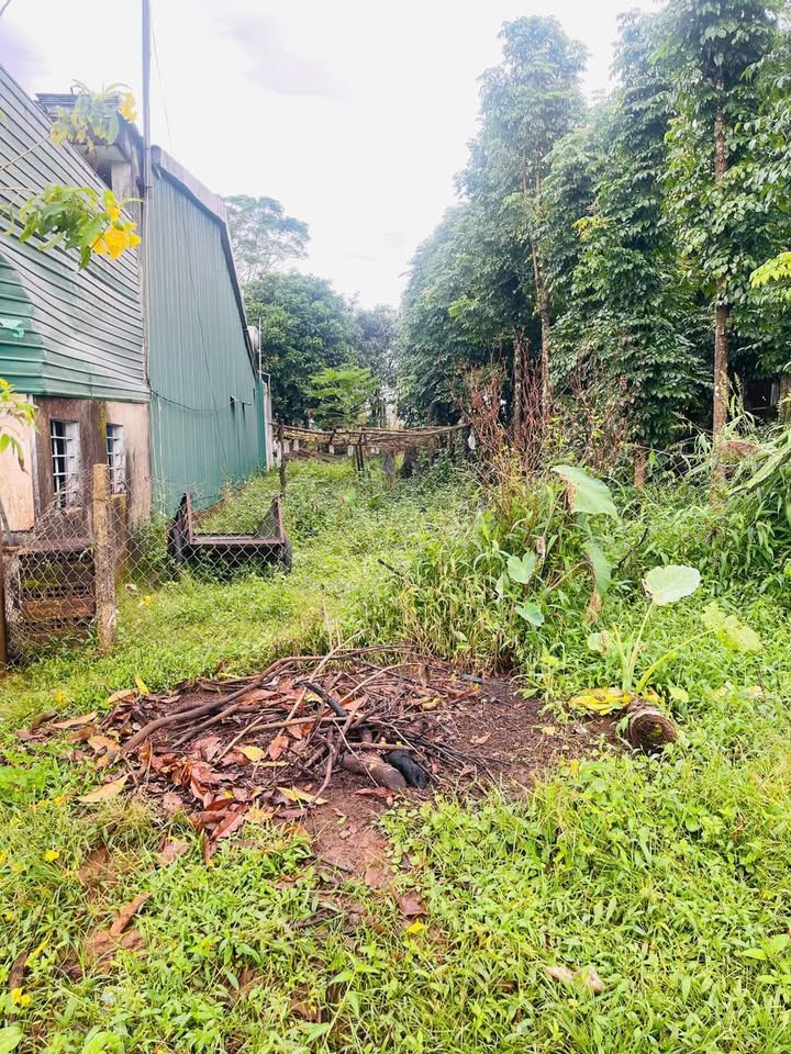 Nhà riêng mặt đường Hoàng Hoa Thám, thị trấn Ia Kha, 145m² chỉ 600 triệu - Cơ hội không thể bỏ lỡ!