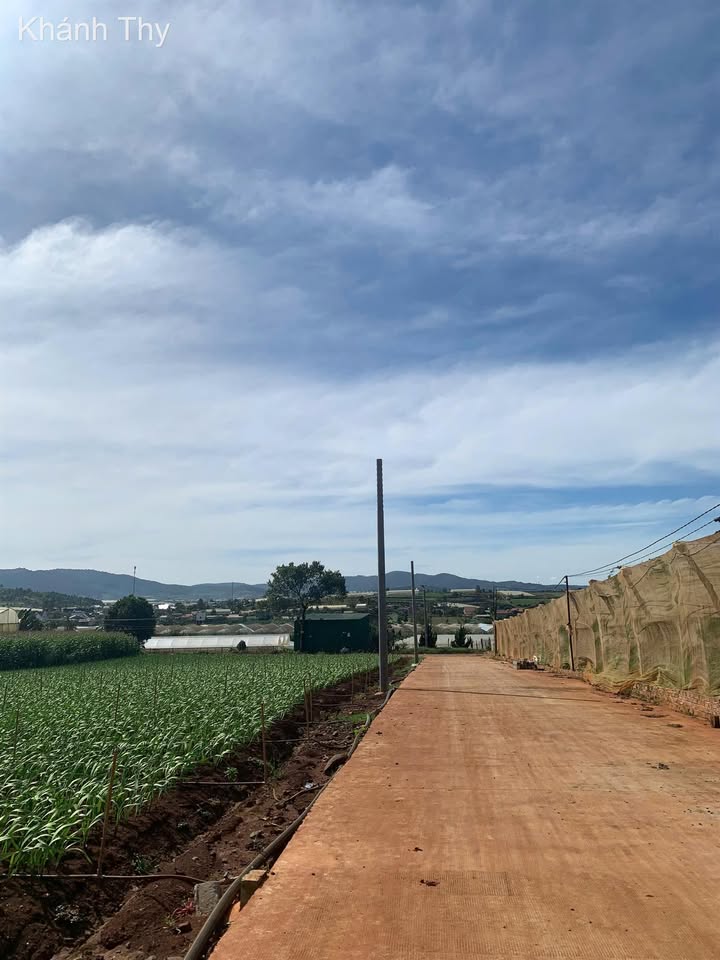 Đất thổ cư Đạ Ròn 232m² giá 940 triệu - View thoáng, pháp lý đầy đủ!