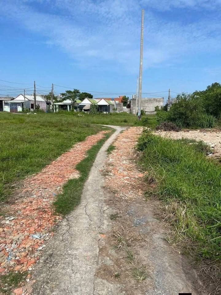 Đất thổ cư 150m² tại xã Mỹ Hạnh Bắc, giá 1.05 tỷ - Đầu tư lý tưởng!