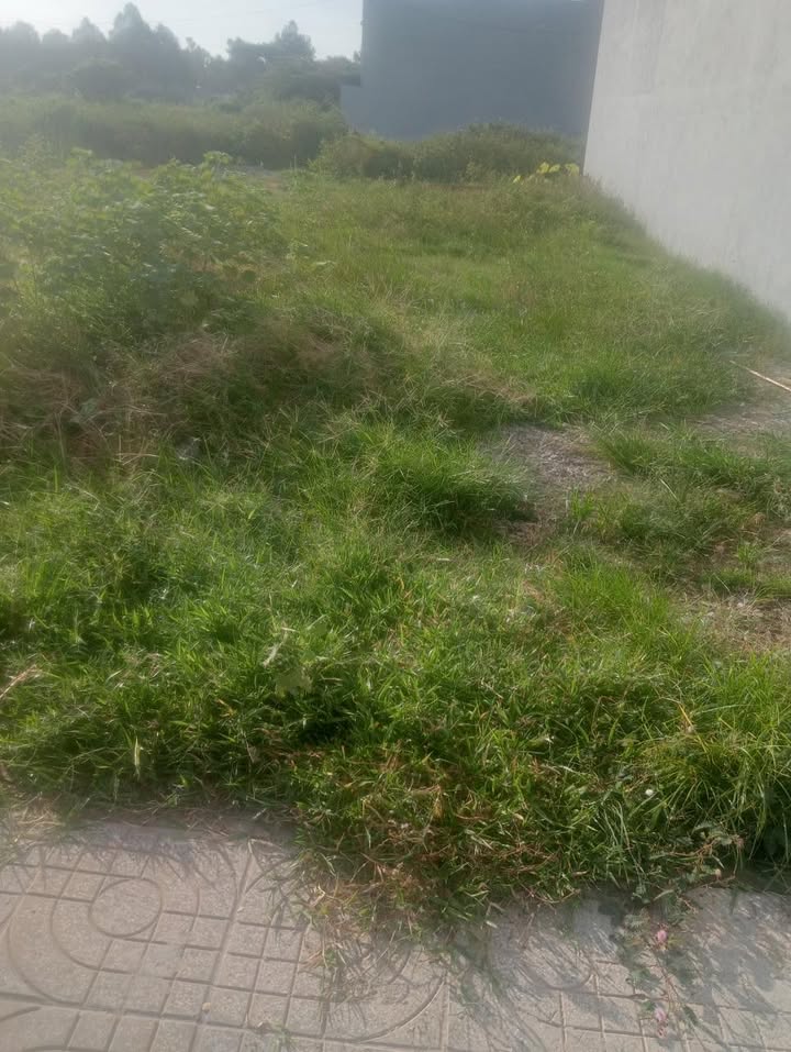 Đất nền tái định cư Hòa Long 105m² giá 3 tỷ - Sổ hồng chính chủ, 100% thổ cư!