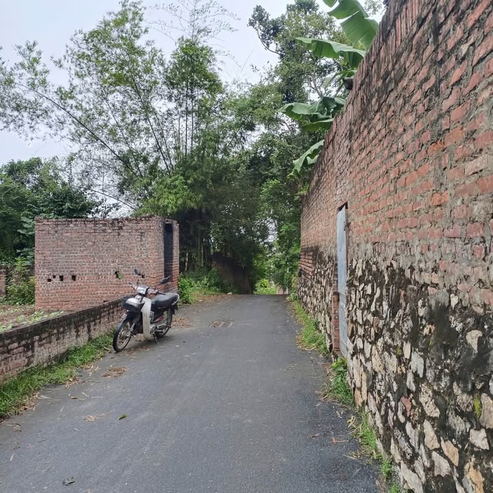 Đất thổ cư Khắc Niệm, Bắc Ninh 204m² giá chỉ 3 tỷ - Đầu tư tiềm năng!