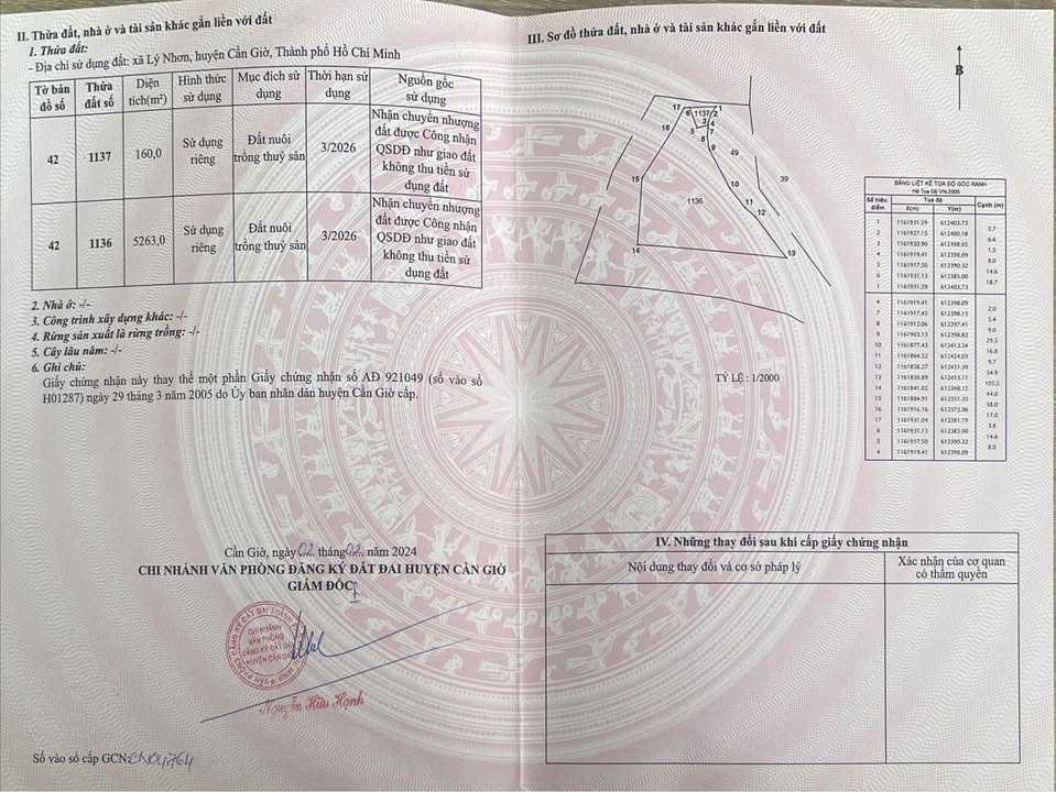 Bán đất nuôi trồng thủy sản 5.423m² đường nội bộ Lý Nhơn, Cần Giờ - Giá chỉ 2.3 tỷ!