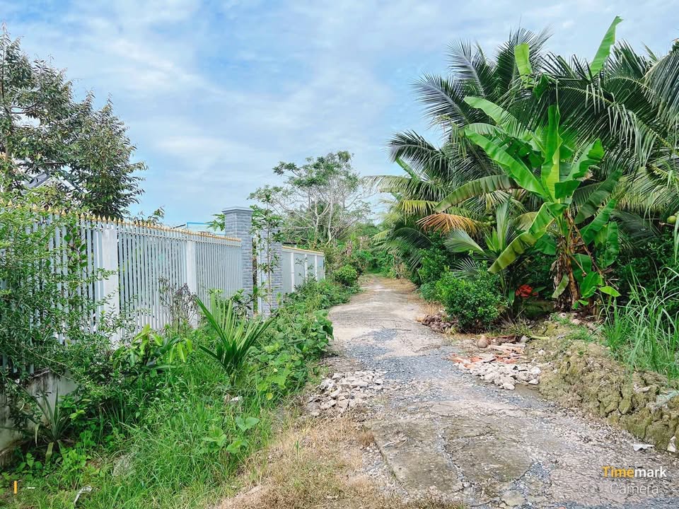 Đất nền 780m² mặt tiền 50m - Phường Đại Thành, Cần Thơ - Phù hợp định cư và phân lô!