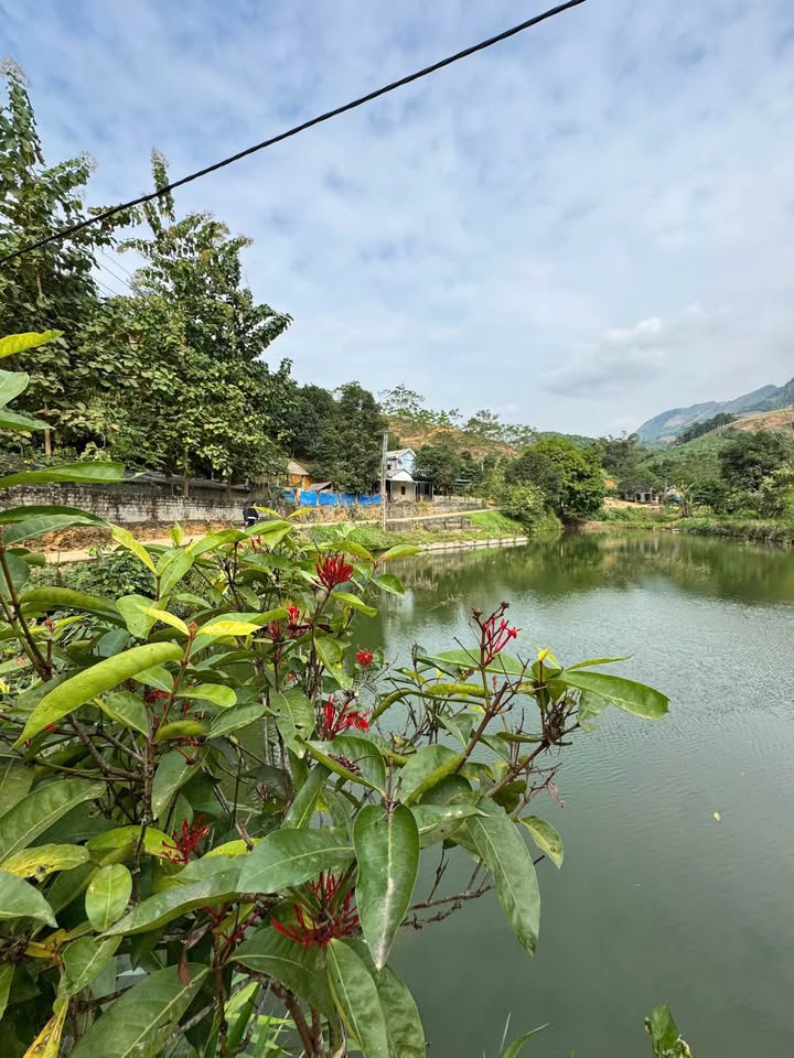 Trang trại Bản Cầm, Bảo Thắng 3000m² giá 1 tỷ - Sẵn sàng vào ở ngay!