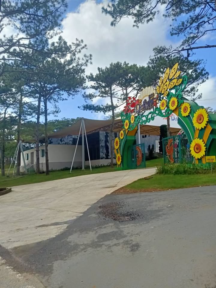 Nhà phố Đà Lạt 50m² giá 1.65 tỷ - Đầu tư sinh lời ngay!