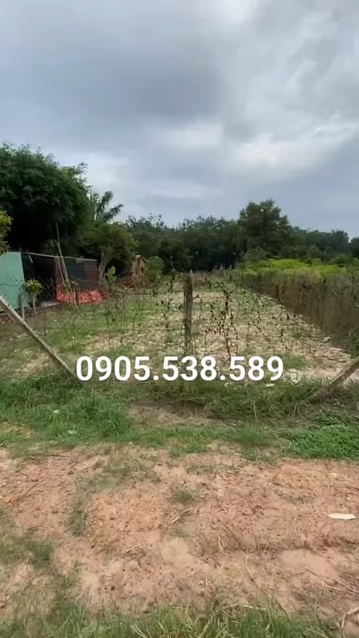 Bán đất mặt tiền Tỉnh Lộ 7, An Nhơn Tây, Củ Chi 1055m² - Đầu tư sinh lời ngay!