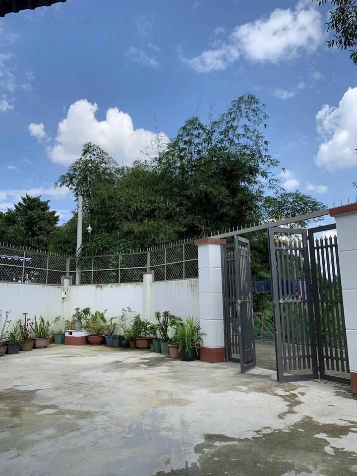 Nhà vườn góc 2 mặt tiền Bình Mỹ, Củ Chi 203m² giá 4 tỷ - Không gian sống lý tưởng!