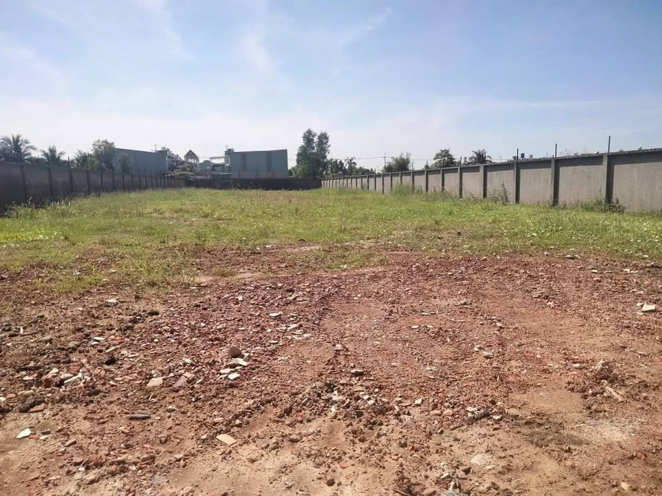 Đất vườn Bình Mỹ Củ Chi 2273m² giá chỉ 7 triệu/m² - Đầu tư sinh lời ngay!