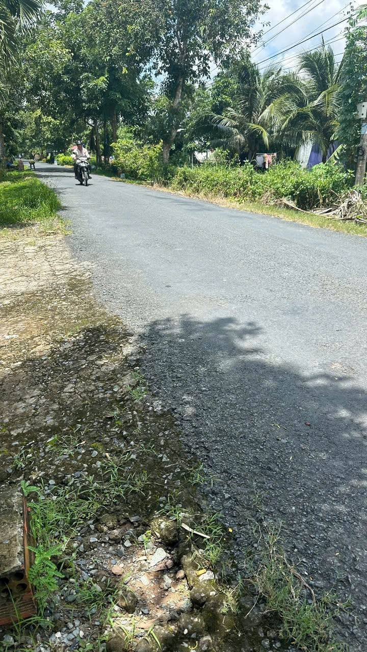 Đất vườn 3178m² tại Tân Phước Hưng, Cần Thơ - Sổ hồng chính chủ, giá chỉ 2.15 tỷ!