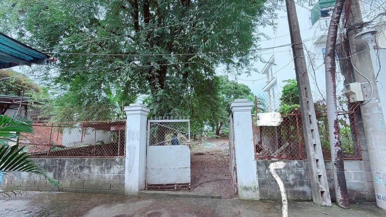 Đất thổ cư 303.8m² Tân Hiệp, Hóc Môn - Mặt tiền đường xe tải, giá 7.9 tỷ!