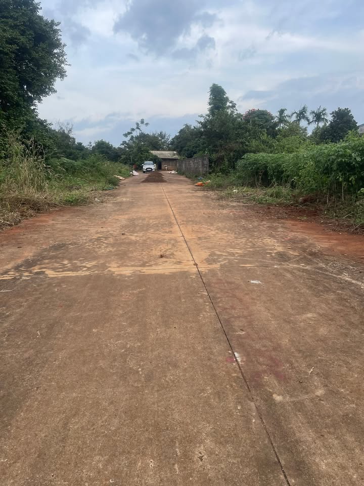 Đất nền Cư Suê 100m² giá 990 triệu - Đầu tư sinh lời ngay!