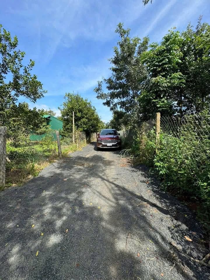 Đất nền xã Ea Hồ, Krông Năng 165m² giá chỉ 359 triệu - Cơ hội đầu tư hấp dẫn!