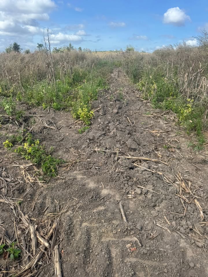 Đất nông nghiệp 30ha xã Ea Súp, Đắk Lắk giá 1.5 tỷ - Đầu tư sinh lời ngay!