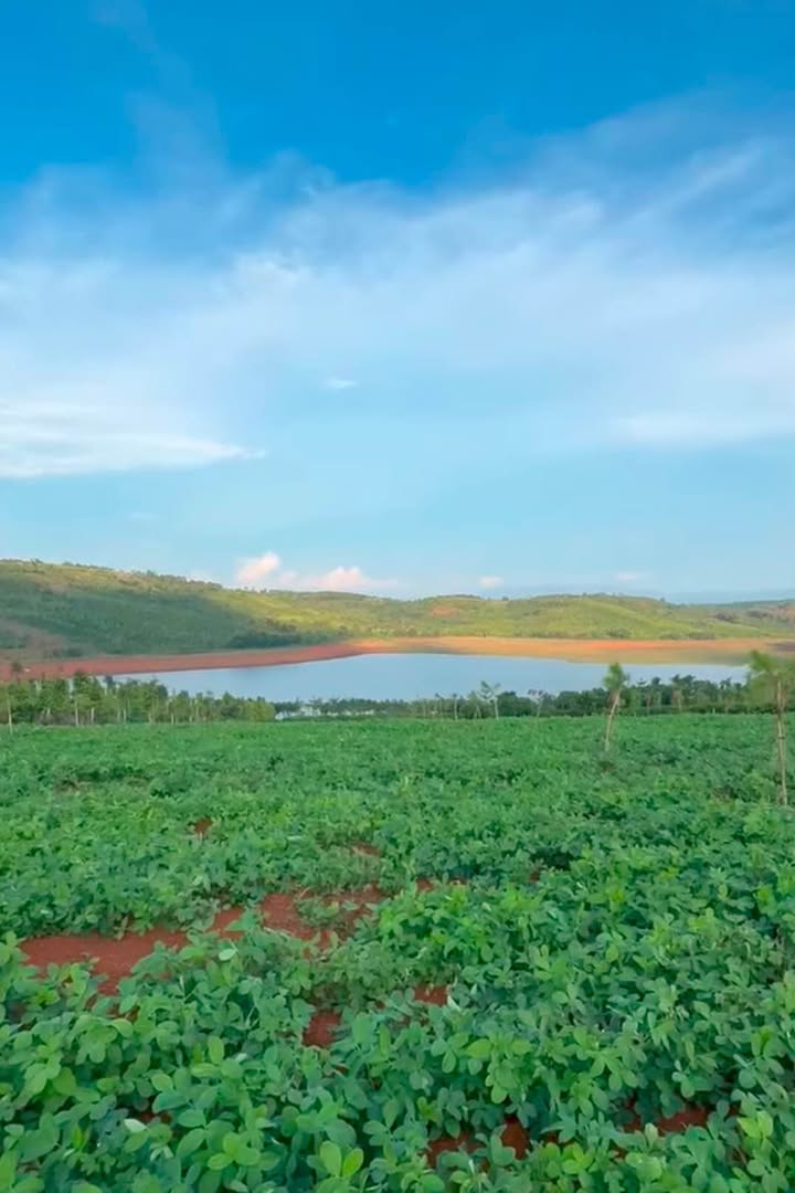 Đất trống 3 sào tại Đức Minh, Buôn Đôn 1.05 tỷ - Cơ hội đầu tư hấp dẫn!