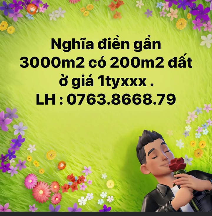 Đất nền Nghĩa Điền Tư Nghĩa 3000m² giá 1 tỷ - Cơ hội đầu tư tuyệt vời!