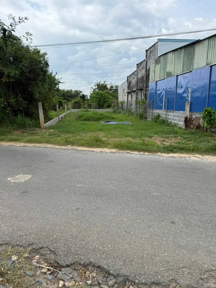 Bán đất thổ cư mặt tiền Đường Nhựa thôn Xuân Điền, xã Hàm Hiệp, 140m² chỉ 1.35 tỷ - Đầu tư sinh lời!