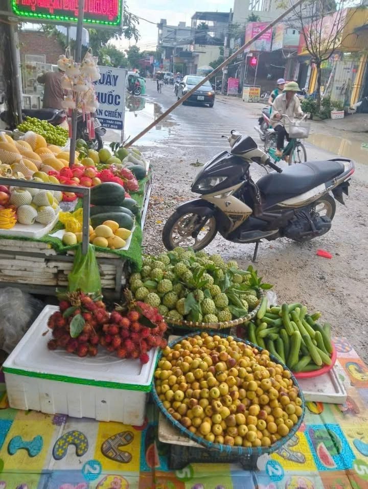 Đất 300m² Thái Sơn, An Lão, Hải Phòng giá 7.5 tỷ - Đầu tư sinh lời ngay!