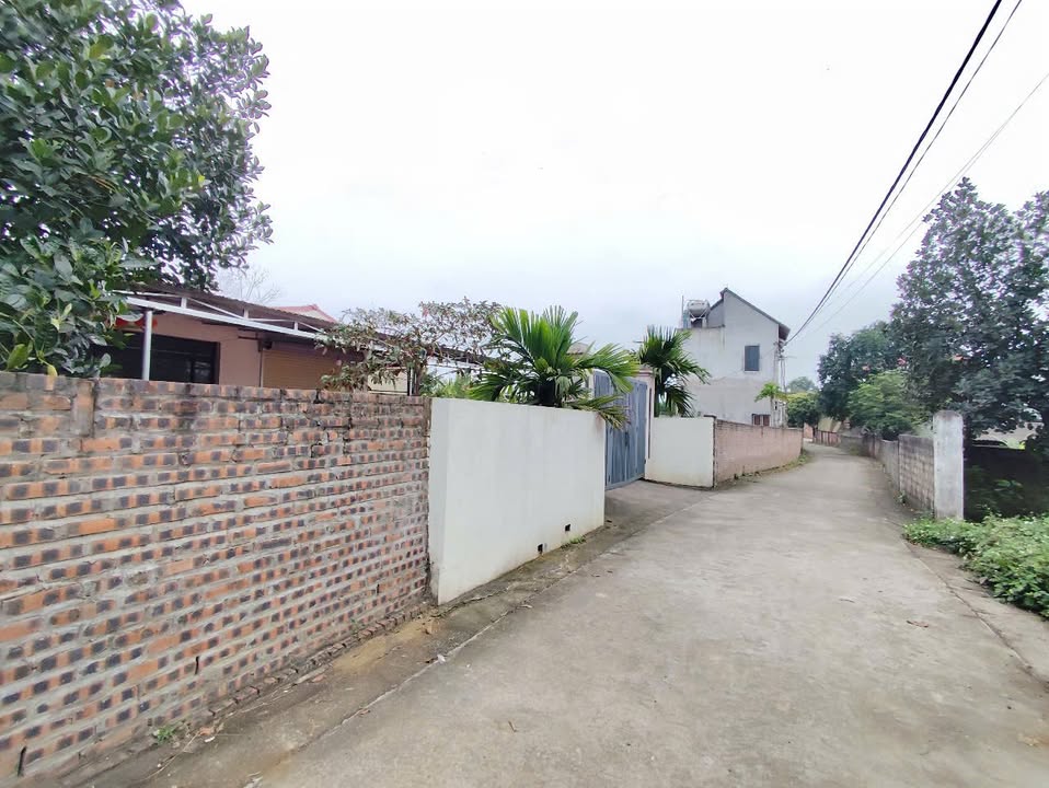 Đất Ba Trại, Ba Vì 1451m² giá chỉ 4 tỷ - Cơ hội đầu tư tuyệt vời!