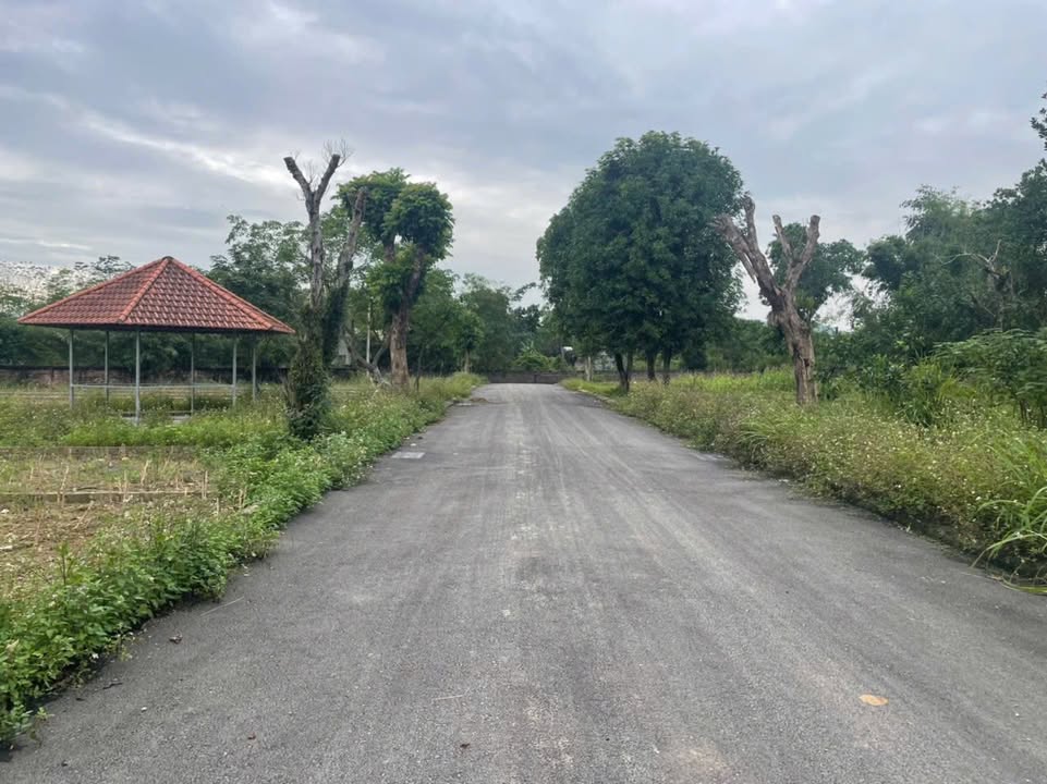 Đất nền 134m² tại Nhuận Trạch, Lương Sơn - Đầu tư sinh lời ngay!