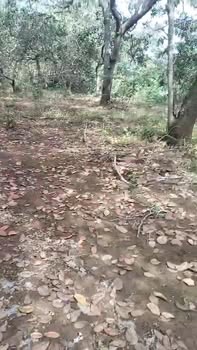 Đất nền Phú Nghĩa Bù Gia Mập 2.7ha giá 1 tỷ - Cơ hội đầu tư hấp dẫn!