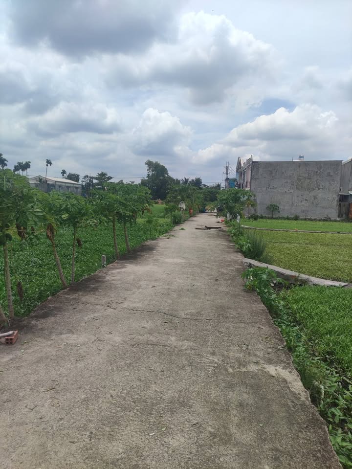 Đất thổ cư Bình Mỹ, Củ Chi 1955m² giá 30 tỷ - Đầu tư sinh lời ngay!