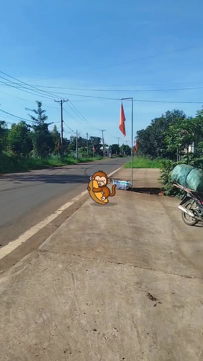 Đất thổ cư 4000m² xã Bảo Bình, Cẩm Mỹ - Cơ hội đầu tư hấp dẫn!