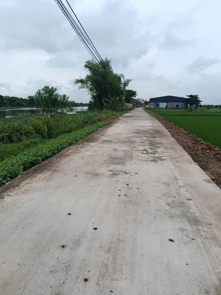 Đất thổ cư Thôn Khuốc Đông, xã Phong Châu 320m² - Sổ đỏ chính chủ, giá thỏa thuận!