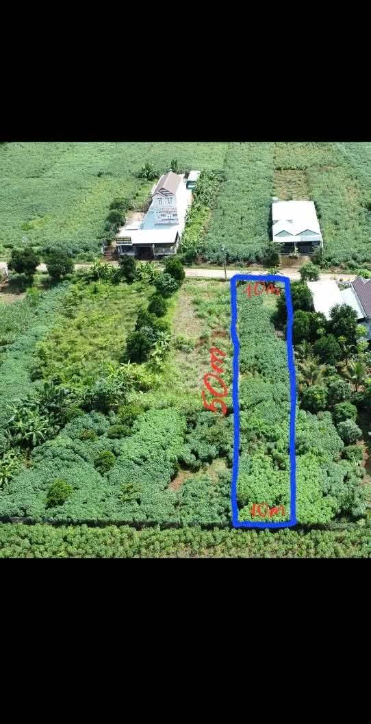 Đất thổ cư Sơn Thành - Đắk Lắk 320m² giá 1 tỷ - Đầu tư sinh lời ngay!