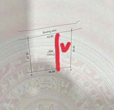 Đất nền Yên Bài Ba Vì 445m² - Sổ đỏ chính chủ, lưng tựa núi view đẹp!