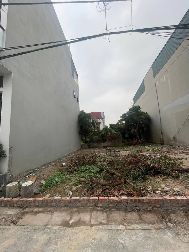 Đất nền Liên Hồng, Gia Lộc 62.4m² giá 1 tỷ - Vị trí đắc địa, tiềm năng đầu tư cao!