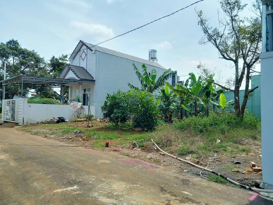 Đất thổ cư Bảo Lộc 100m² giá chỉ 1.25 tỷ - Hẻm nhựa ô tô thuận tiện!