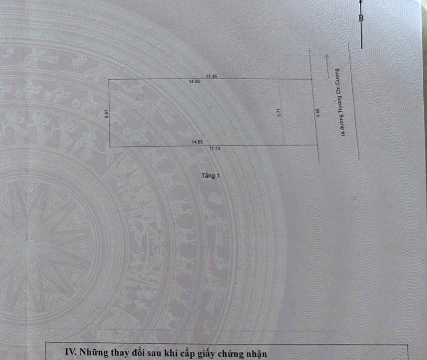 Lô đất Trương Chí Cương Hải Châu 101m² - Nở hậu tài lộc, đầu tư lý tưởng!