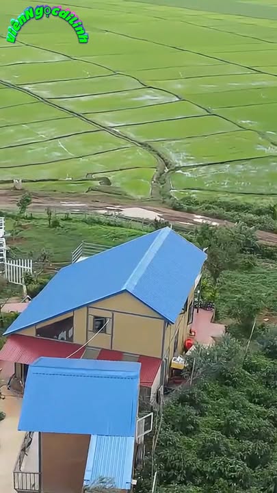 Biệt thự Farm Bảo Thuận – Di Linh 1.000m² giá 1.85 tỷ - Không gian sống nghỉ dưỡng lý tưởng!
