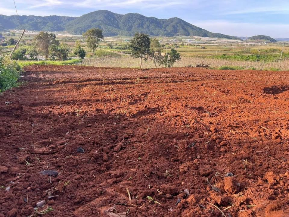 Đất nền 3.7 sào tại xã Quảng Lập, Đơn Dương - Giá chỉ 2.6 tỷ - Pháp lý sổ riêng