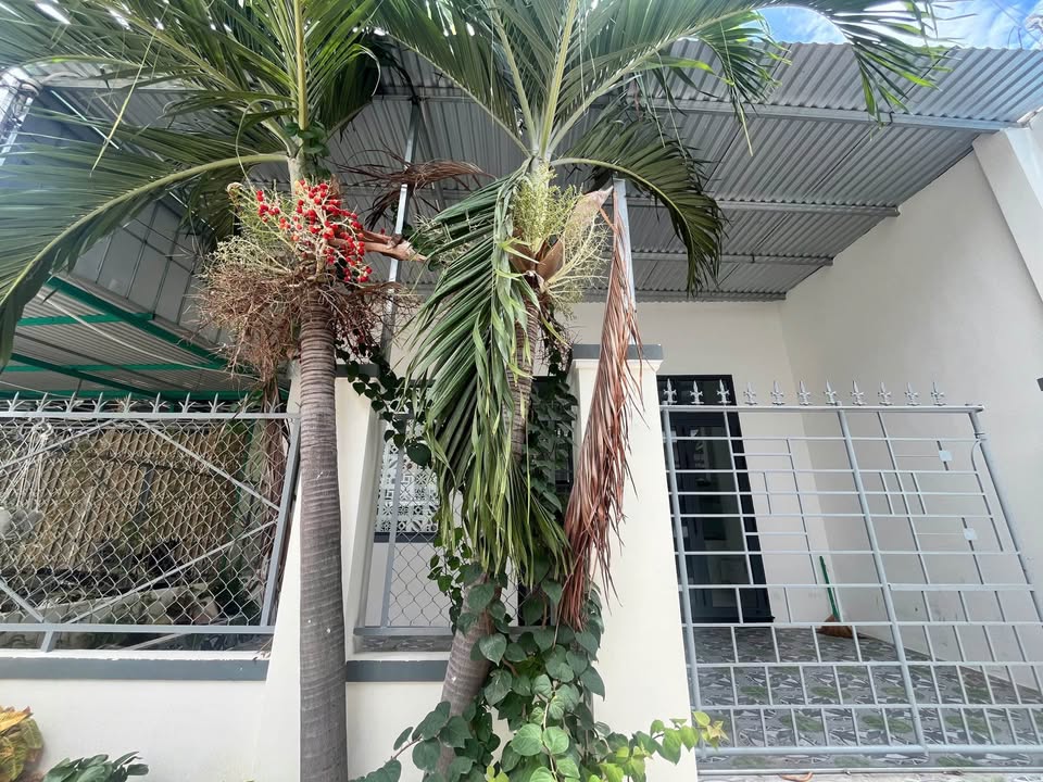 Nhà riêng hẻm 29 Cao Thắng, Phan Rang 67m² giá 1.6 tỷ - Vị trí trung tâm thuận tiện!