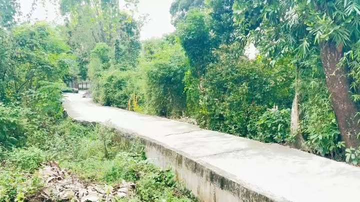 Đất nền Thăng Điền, Thăng Bình 1000m² giá 790 triệu - Đường ô tô vào tận nơi!