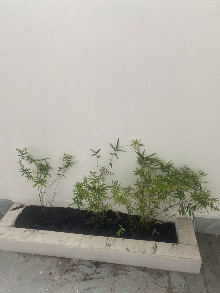 Nhà thổ Sơn 1, Đà Nẵng 100m² giá 4 tỷ - Nhà mới xây đẹp, gần biển!