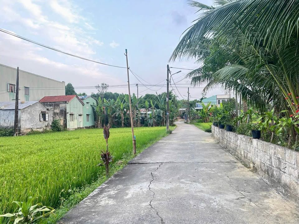 Đất nền Hòa Nhơn Đà Nẵng 120m² giá 1 tỷ - Vị trí đắc địa gần chợ và trường học!