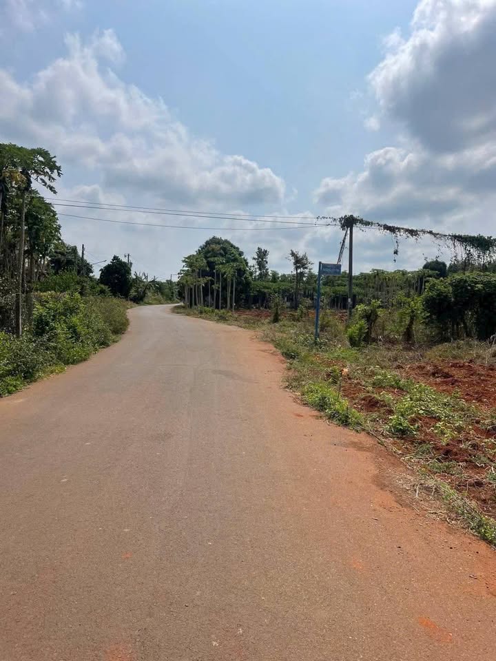 Đất nền Long Phước, Bà Rịa 3416m² giá chỉ 12 tỷ - Cơ hội đầu tư tuyệt vời!