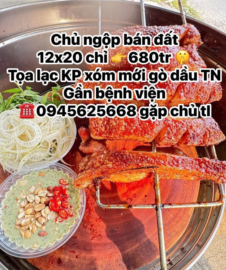 Đất thổ cư Gò Dầu 240m² giá chỉ 680 triệu - Cơ hội đầu tư hấp dẫn!